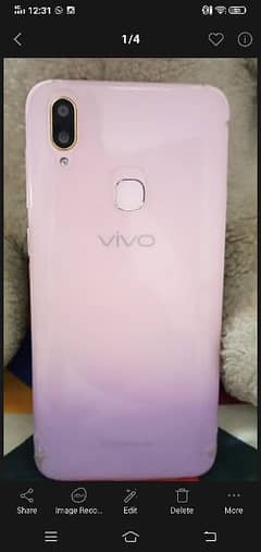 vivo