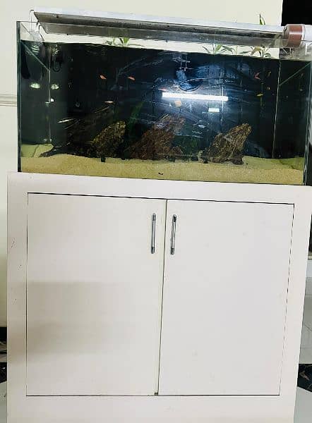 Fish Aquarium  Imported 3