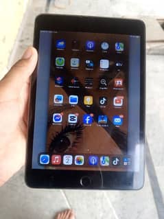 ipad mini 5