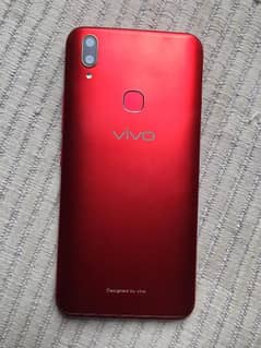 VIVO