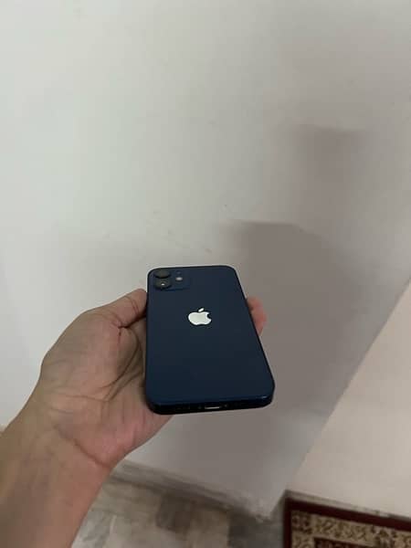 IPhone 12 Mini 0