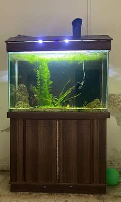 3 fit aquarium