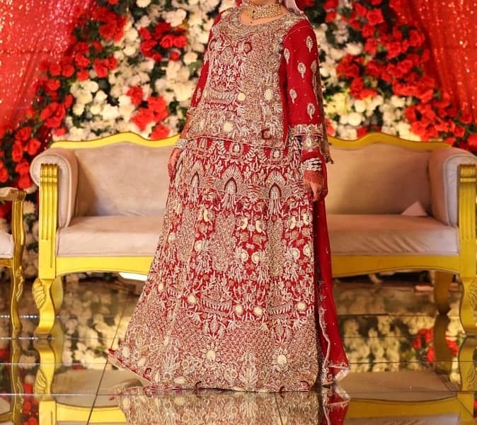 barat lehnga choli bridal 2