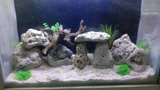 24cm height 30cm length 10 inch width of aquarium