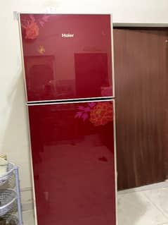 two doors refrigerator large size haier refrigerator