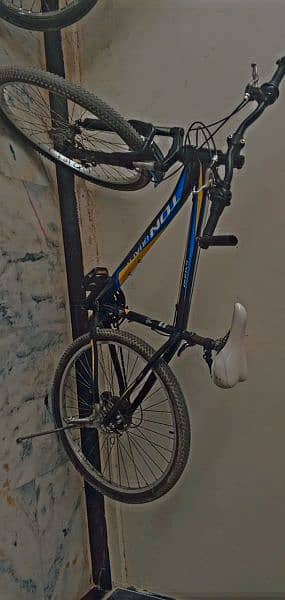 cycle for sale 8