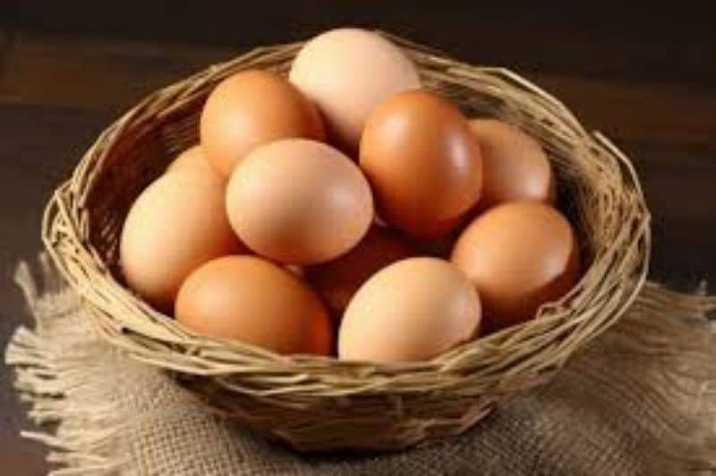 Desi organic eggs 0