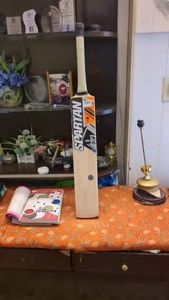 cricket spartan Kashmir willow new bat