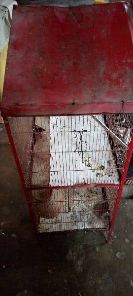 I. m selling cage 2