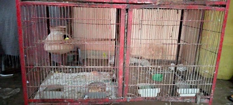 I. m selling cage 4