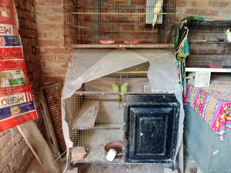 3 cage for sale 1