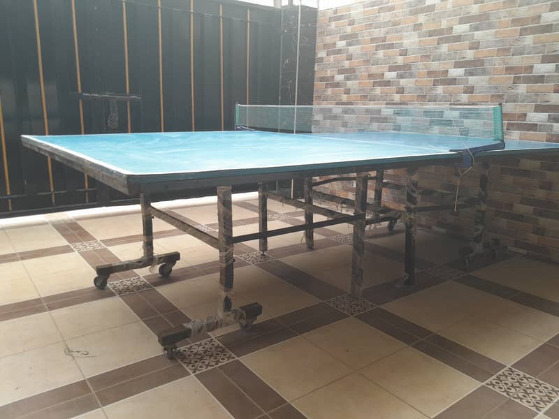 Table Tennis | 154.5cm x 274 cm | Chipboard Butterfly style 1