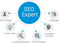 SEO Expert Required