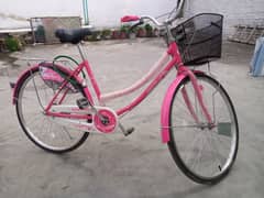 New China Bicycle