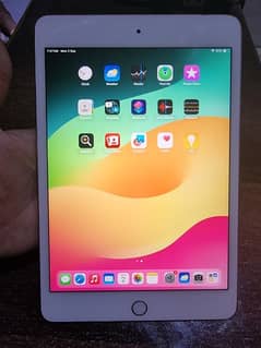 ipad mini 5 256gb sim wali