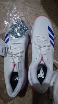 Cricket spikes Adidas