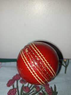 Cricket