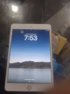 i pad mini 5