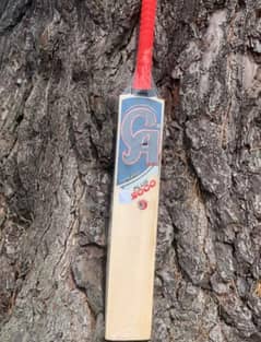 ca 5000 plus english willow cricket bat.