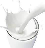 WHOLE SALE DAIRY PRODUCTS