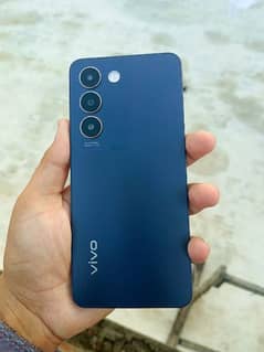 Vivo Brand