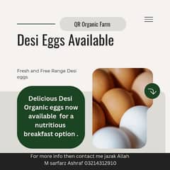 desi eggs (anday) fresh and pure