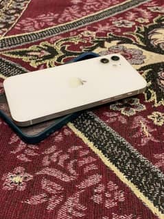 iphone 12 non pta  ha full saff condition ma ha water pack ha 0