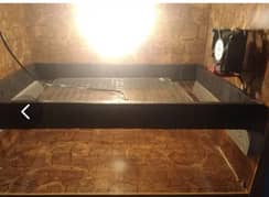 Egg incubator for sale