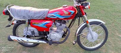 honda 125 2024 like a zero