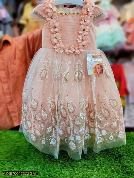 Beautiful Fancy Dresses For Girls 11