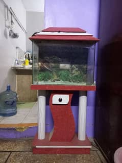 aquarium