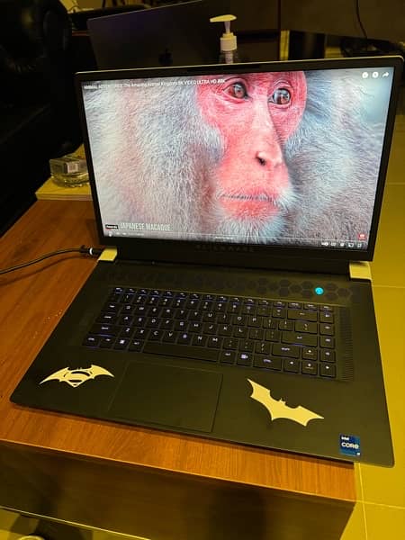 Dell Alienware x17 R2 - Alder Lake - 12th Gen Core i7 Processor 16GB 0