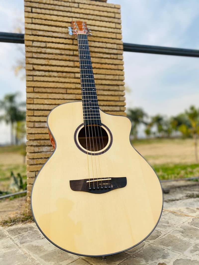 Acoustic Bignnner Professhional Guitar Semi Electro Happy Guitars club 10