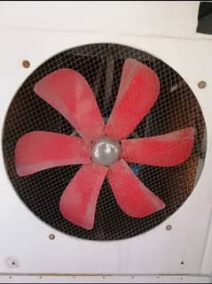 Air cooler