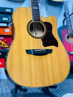 Strinberg SD-20C Original Acoustic Guitar