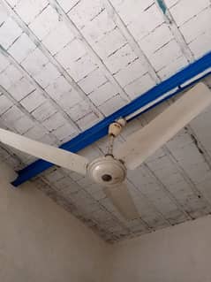 GFC ceiling fan for urgent sale