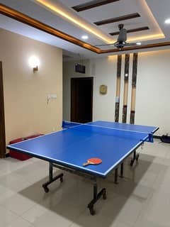 Table Tennis Table Lasani 0