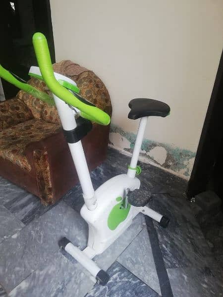 Exercise cycle, Apple Magnetic exercise cycle bike 1