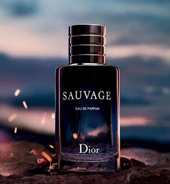 Sauvage Dior 100ml Perfume 0