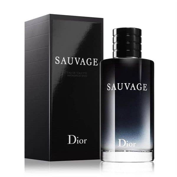 Sauvage Dior 100ml Perfume 1