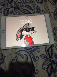 Apple iPad mini 5 64 GB with box 8/10 condition no open, no repair