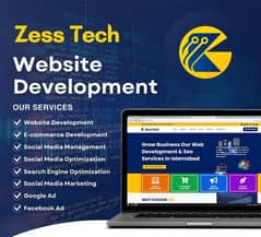 WordPress website development custom website