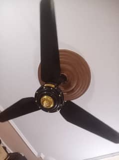 ceeling fan okay hh bilkul warranty me hh