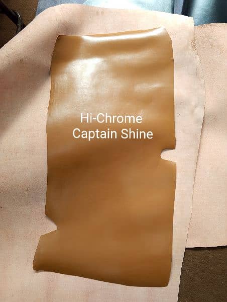 Leather and Hi-Chrome Leather For Shoes & Belts 5