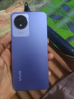 Vivo