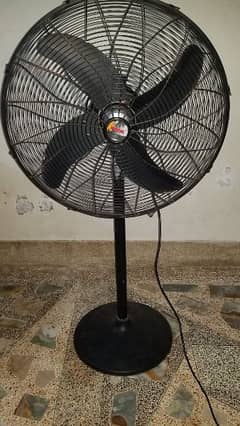 Royal Fan for sale 0