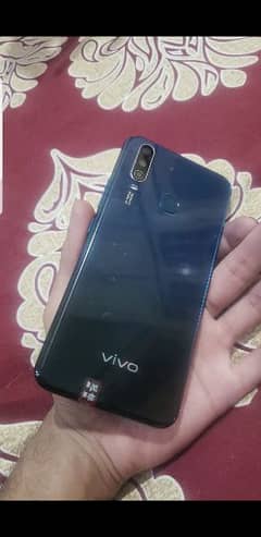 VIVO