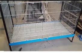 Hen cats and birds cages