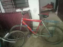 cycle ok ha just back tire dalna ha