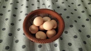 Golden Buff Eggs